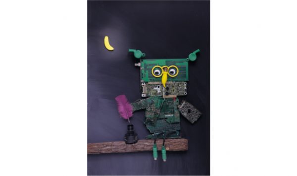 Búho sentado sobre rama con la pluma violeta y luna detrás. Ilustración del libro La Pluma Violeta, de Hanoch Piven. Editorial Leetra.