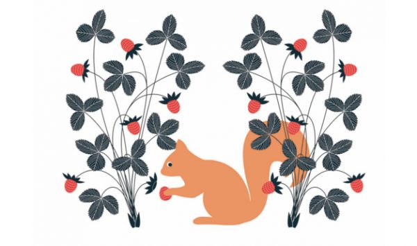 Ardilla naranja comiendo nueces. Ilustración del libro El Secreto, de Émilie Vast. Editorial Leetra.
