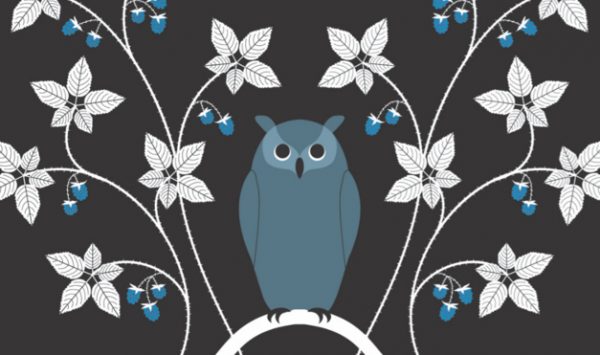 Búho sentado en árbol de noche. Ilustración del libro El Secreto, de Émilie Vast. Editorial Leetra.