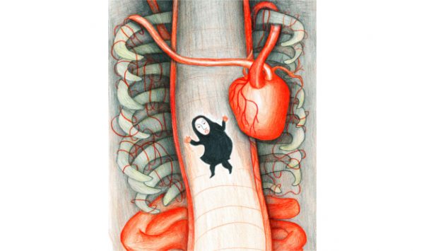 Bajando por el esófago. Ilustración del libro Dentro de mí, de Alex Cousseau y Kitty Crowther. Editorial Leetra.