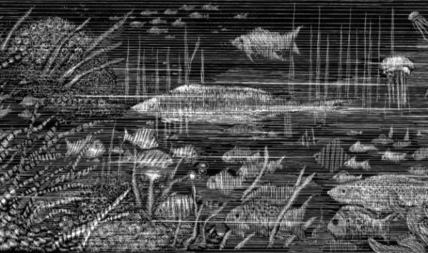 Peces en el mar. Ilustración del libro Mi taza de té, de Dror Burstein y Meir Appelfeld. Editorial Leetra.
