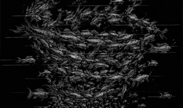 Peces en grupo organizados, en blanco y negro. Ilustración del libro Mi taza de té, de Dror Burstein y Meir Appelfeld. Editorial Leetra.
