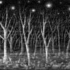 Bosque de árboles sin hojas en noche estrellada, en blanco y negro. Ilustración del libro Mi taza de té, de Dror Burstein y Meir Appelfeld. Editorial Leetra.