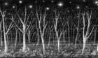 Bosque de árboles sin hojas en noche estrellada, en blanco y negro. Ilustración del libro Mi taza de té, de Dror Burstein y Meir Appelfeld. Editorial Leetra.