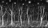Bosque de árboles sin hojas en noche estrellada, en blanco y negro. Ilustración del libro Mi taza de té, de Dror Burstein y Meir Appelfeld. Editorial Leetra.