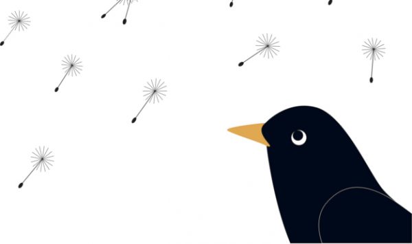 Ave viendo dientes de león volar. Ilustración del libro Mientras te espero, de Émilie Vast. Editorial Leetra.