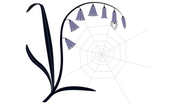 Telaraña en una flor. Ilustración del libro Mientras te espero, de Émilie Vast. Editorial Leetra.