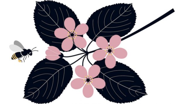 Abeja extrayendo polen de una flor. Ilustración del libro Mientras te espero, de Émilie Vast. Editorial Leetra.