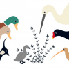 Ilustración del libro Cuac - animales viendo al patito fo