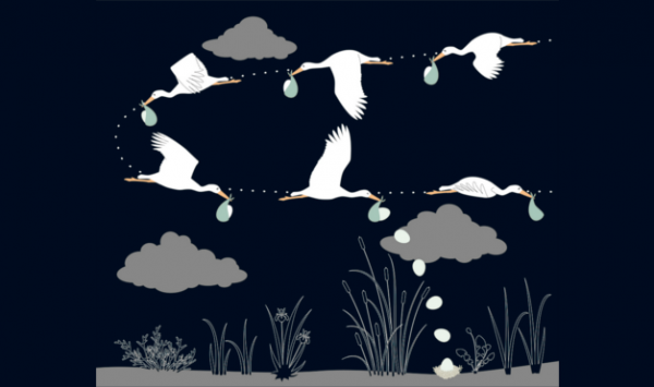 Ilustración del libro Cuac - gaviotas dejando a los bebés animales