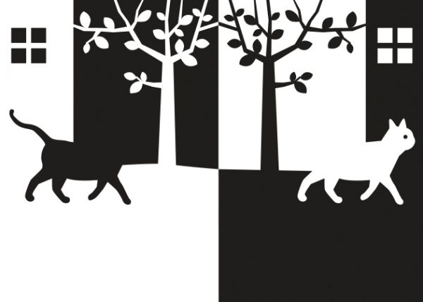 Libro gato negro gato blanco claire garralon
