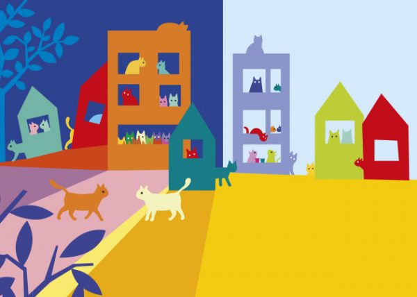 Libro gato negro gato blanco claire garralon