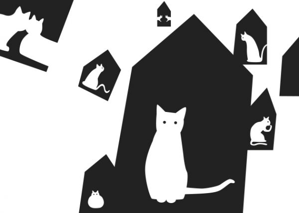 Libro gato negro gato blanco claire garralon