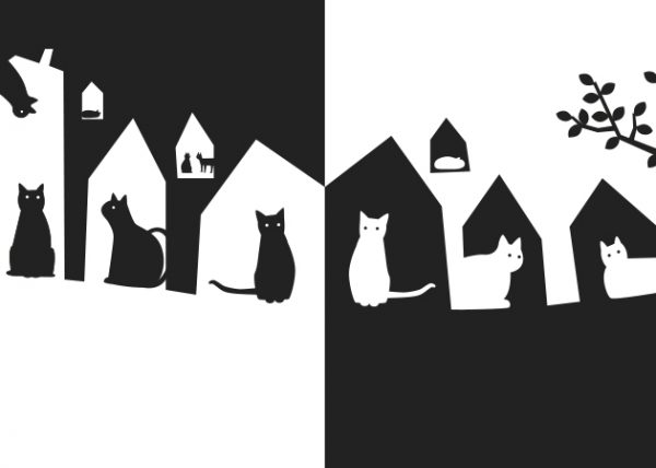 Libro gato negro gato blanco claire garralon