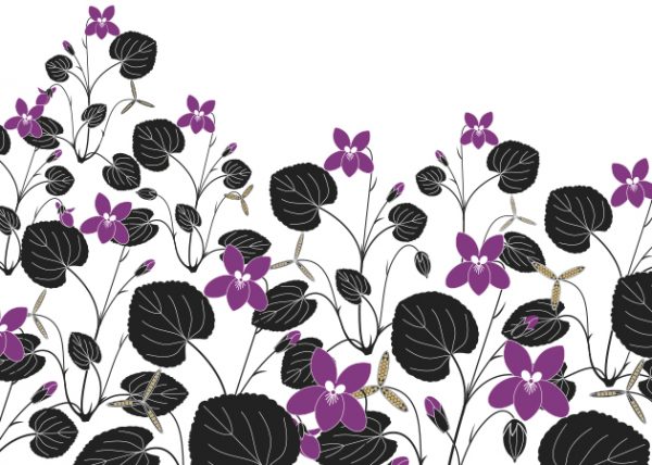 Libro: Plantas Vagabundas, de Émilie Vast