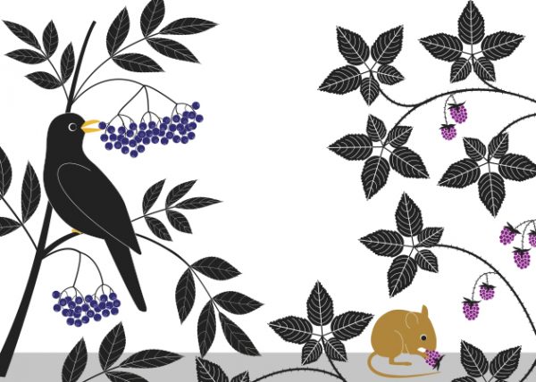 Libro: Plantas Vagabundas, de Émilie Vast