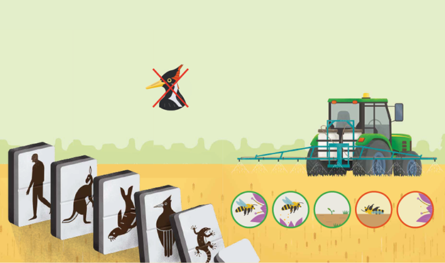 Atrévete a preguntar4