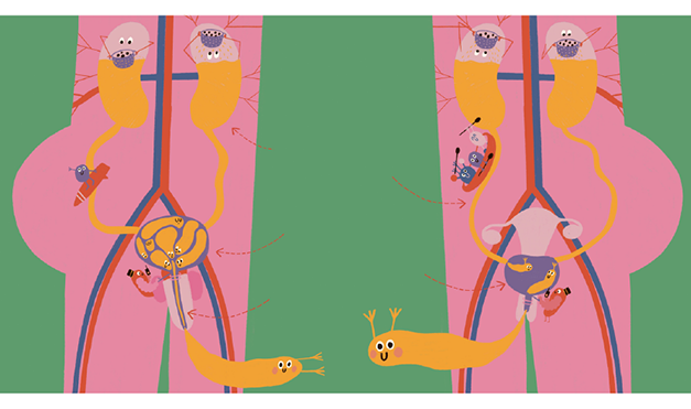 La vida secreta de la pipí y de la caca3