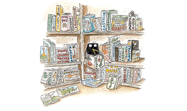 Calvin ten cuidado 1